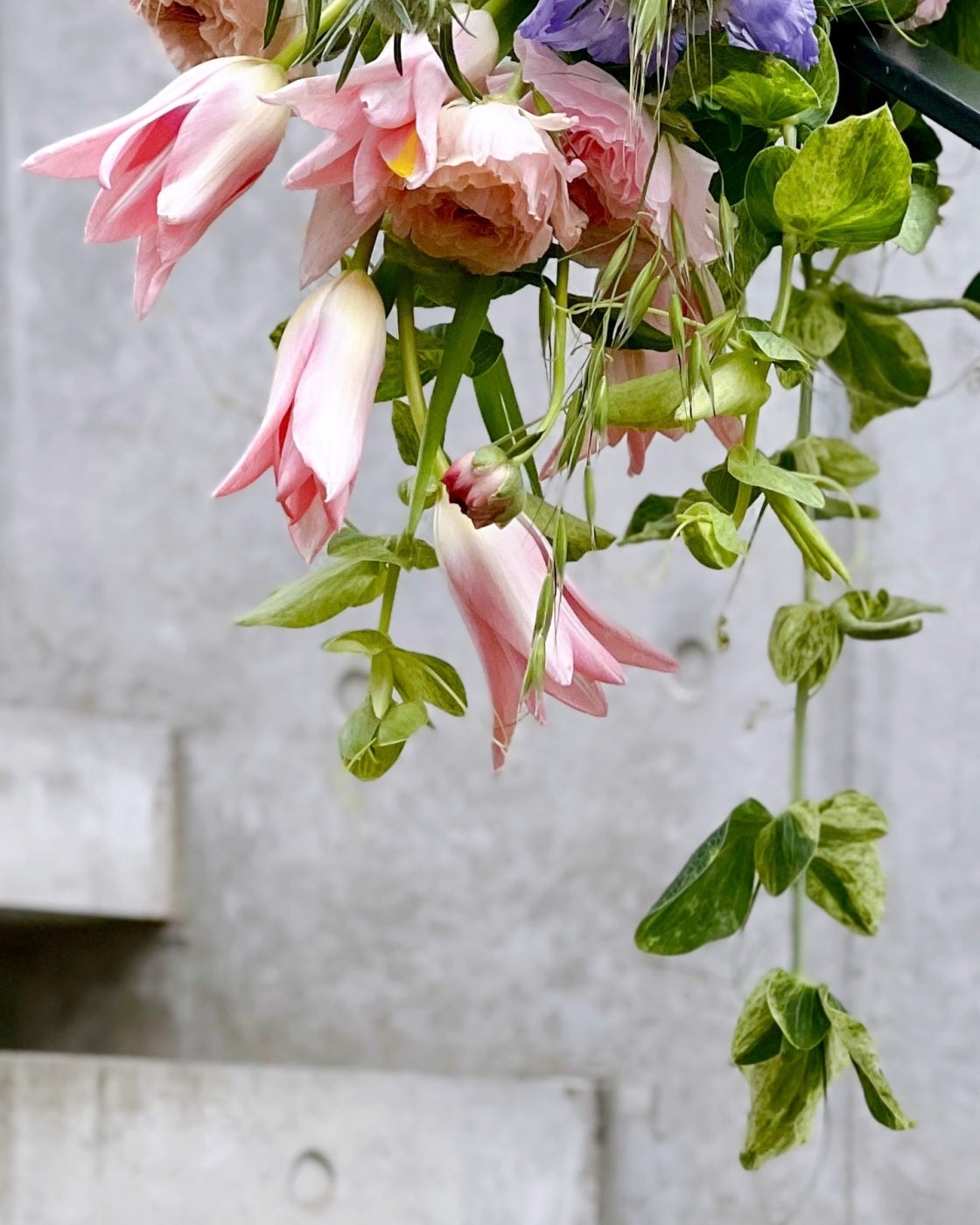 【特価】 ECショップ｜気分が弾む個性的でセクシーな花も、心安らぐ癒しの 美容液